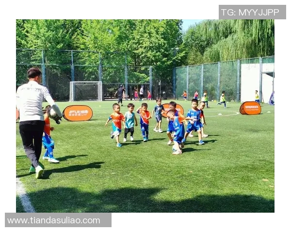 足球烧快速的魅力与技巧解析让你在球场上尽显风采与激情