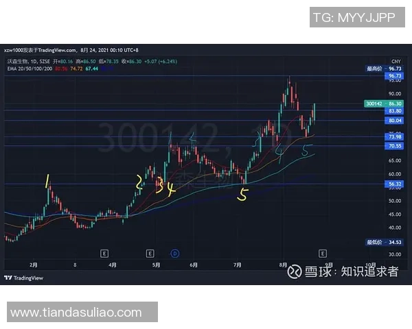 重庆足球队与北京足球队赛后技术分析与战术复盘探讨